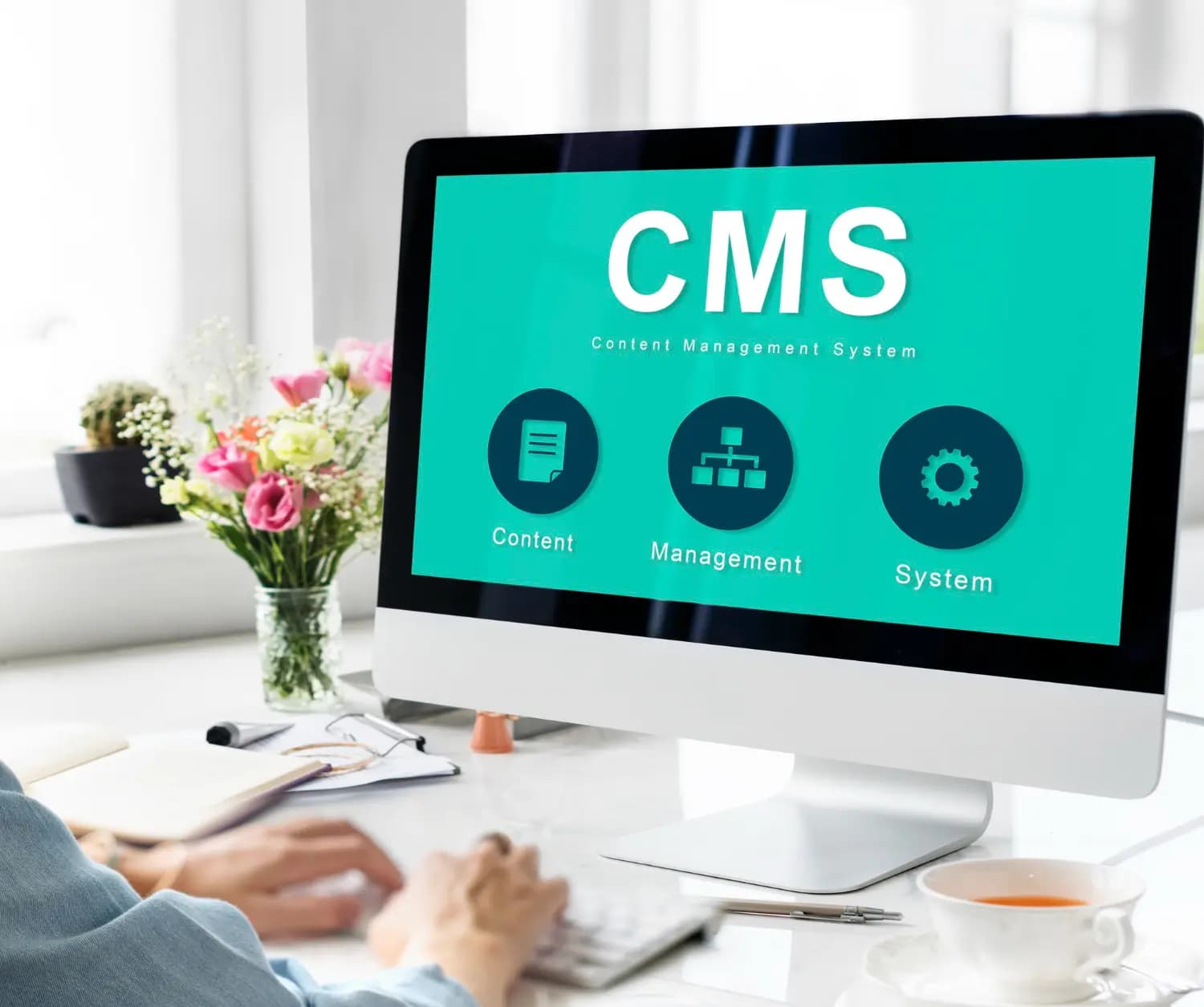 CMS Development